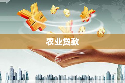 风顺堂区农业贷款