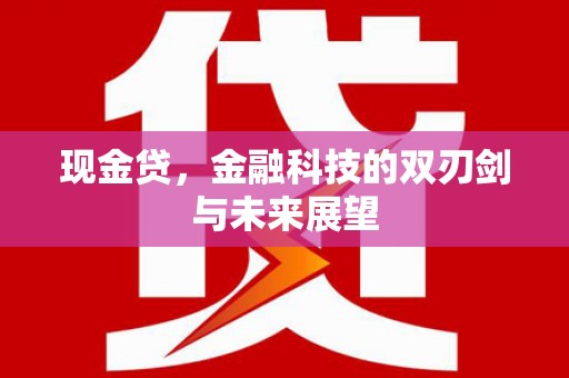 风顺堂区现金贷，金融科技的双刃剑与未来展望