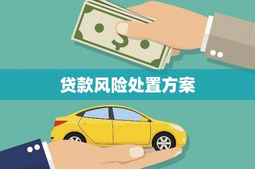 风顺堂区贷款风险处置方案