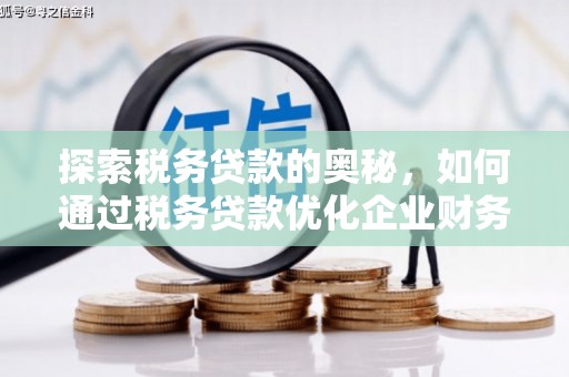 风顺堂区探索税务贷款的奥秘，如何通过税务贷款优化企业财务
