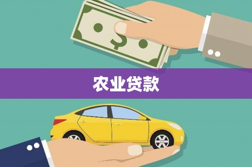 风顺堂区农业贷款