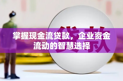 风顺堂区掌握现金流贷款，企业资金流动的智慧选择
