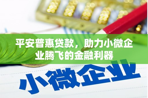 风顺堂区平安普惠贷款，助力小微企业腾飞的金融利器
