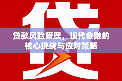 风顺堂区贷款风险管理，现代金融的核心挑战与应对策略