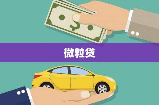 风顺堂区微粒贷