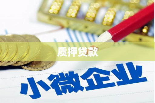 风顺堂区质押贷款