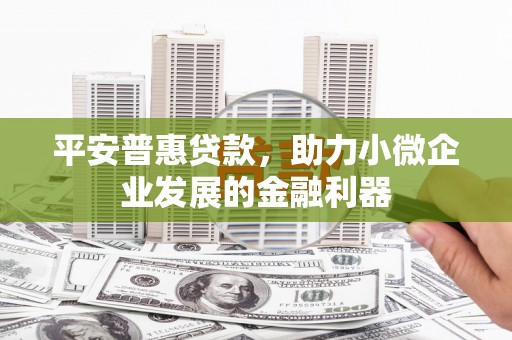 风顺堂区平安普惠贷款，助力小微企业发展的金融利器