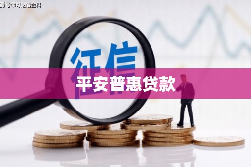 风顺堂区平安普惠贷款