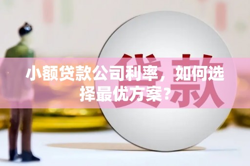 风顺堂区小额贷款公司利率，如何选择最优方案？