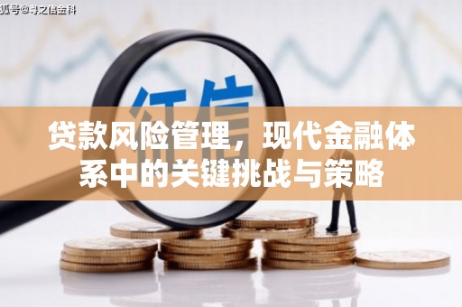 风顺堂区贷款风险管理，现代金融体系中的关键挑战与策略