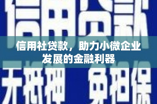 风顺堂区信用社贷款，助力小微企业发展的金融利器