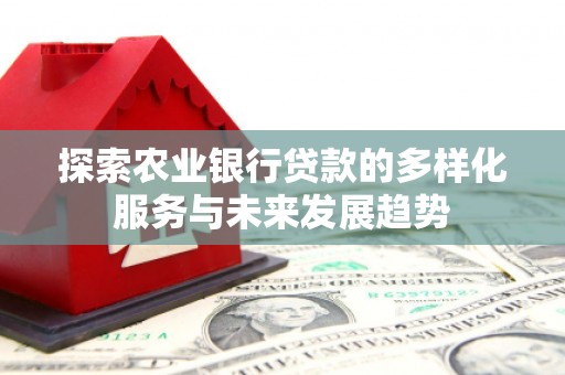 风顺堂区探索农业银行贷款的多样化服务与未来发展趋势