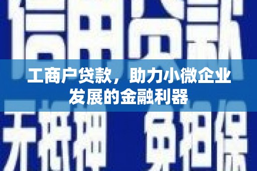 风顺堂区工商户贷款，助力小微企业发展的金融利器