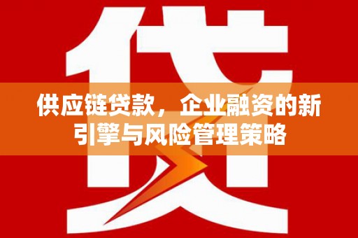 风顺堂区供应链贷款，企业融资的新引擎与风险管理策略