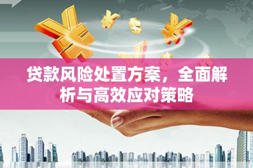 风顺堂区贷款风险处置方案，全面解析与高效应对策略
