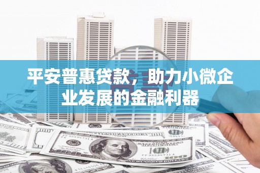风顺堂区平安普惠贷款，助力小微企业发展的金融利器