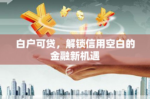 风顺堂区白户可贷，解锁信用空白的金融新机遇