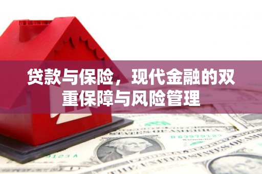 风顺堂区贷款与保险，现代金融的双重保障与风险管理