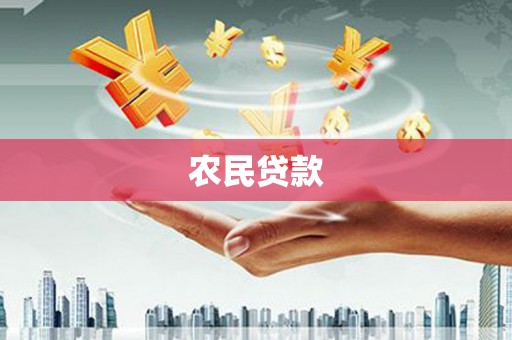风顺堂区农民贷款