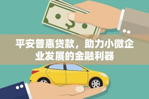 风顺堂区平安普惠贷款，助力小微企业发展的金融利器