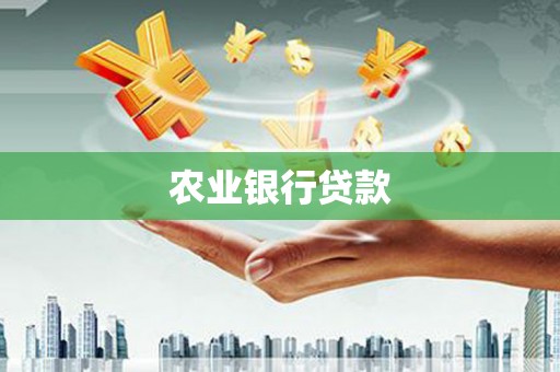 风顺堂区农业银行贷款