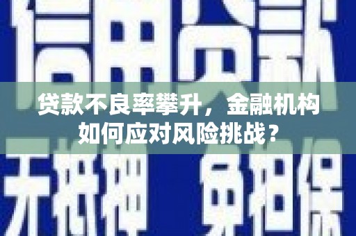 风顺堂区贷款不良率攀升，金融机构如何应对风险挑战？