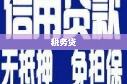 风顺堂区税务贷