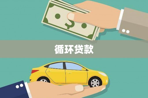 风顺堂区循环贷款