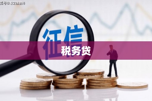 风顺堂区税务贷