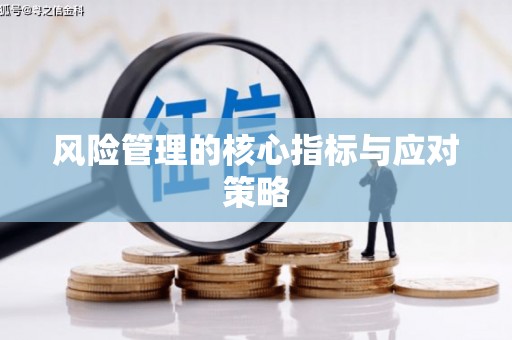 风顺堂区风险管理的核心指标与应对策略