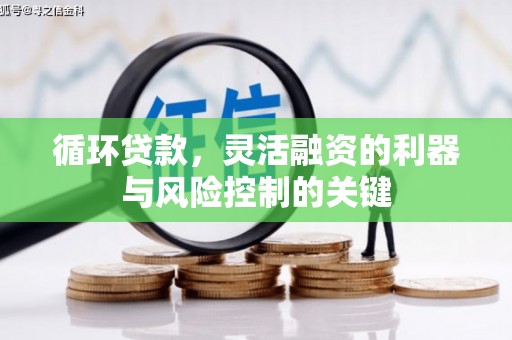 风顺堂区循环贷款，灵活融资的利器与风险控制的关键
