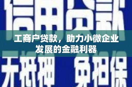 风顺堂区工商户贷款，助力小微企业发展的金融利器
