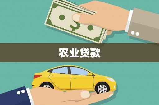 风顺堂区农业贷款