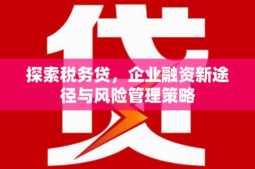 风顺堂区探索税务贷，企业融资新途径与风险管理策略