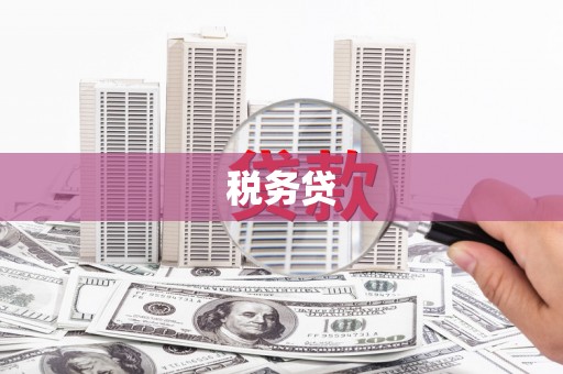 风顺堂区税务贷