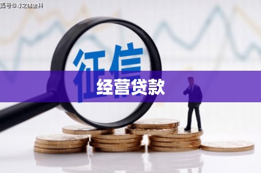 风顺堂区经营贷款
