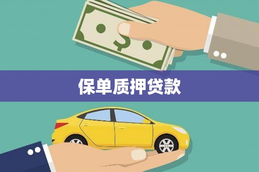 风顺堂区保单质押贷款