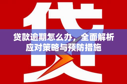 风顺堂区贷款逾期怎么办，全面解析应对策略与预防措施