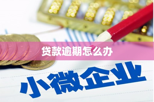 风顺堂区贷款逾期怎么办
