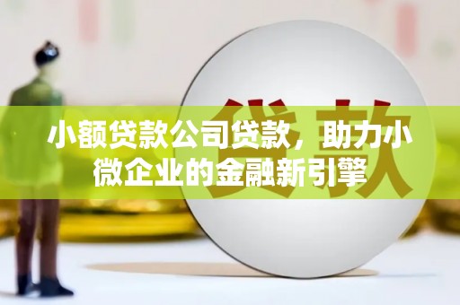 风顺堂区小额贷款公司贷款，助力小微企业的金融新引擎
