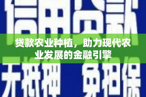 风顺堂区贷款农业种植，助力现代农业发展的金融引擎