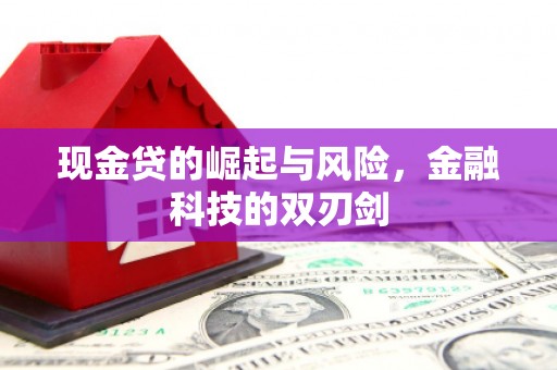 风顺堂区现金贷的崛起与风险，金融科技的双刃剑