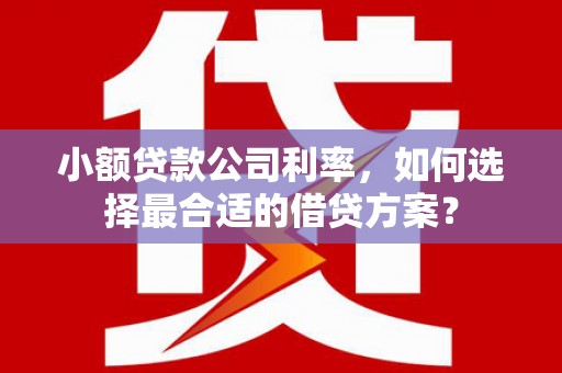 风顺堂区小额贷款公司利率，如何选择最合适的借贷方案？