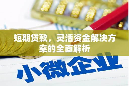 风顺堂区短期贷款，灵活资金解决方案的全面解析