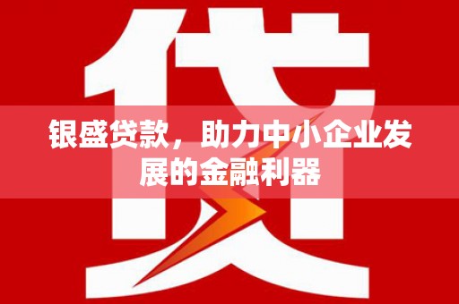 风顺堂区银盛贷款，助力中小企业发展的金融利器