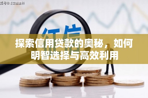 风顺堂区探索信用贷款的奥秘，如何明智选择与高效利用