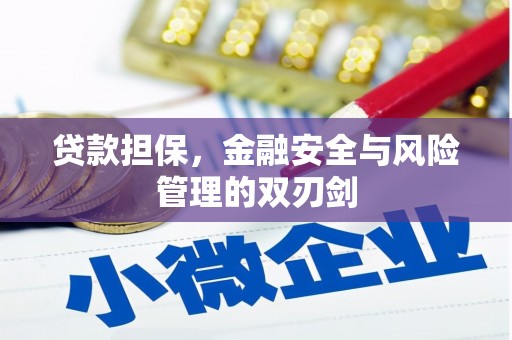 风顺堂区贷款担保，金融安全与风险管理的双刃剑