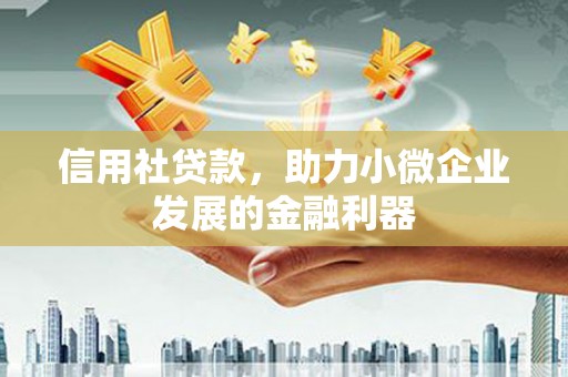 风顺堂区信用社贷款，助力小微企业发展的金融利器