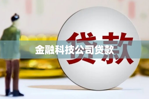 风顺堂区金融科技公司贷款