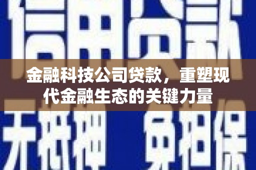 风顺堂区金融科技公司贷款，重塑现代金融生态的关键力量